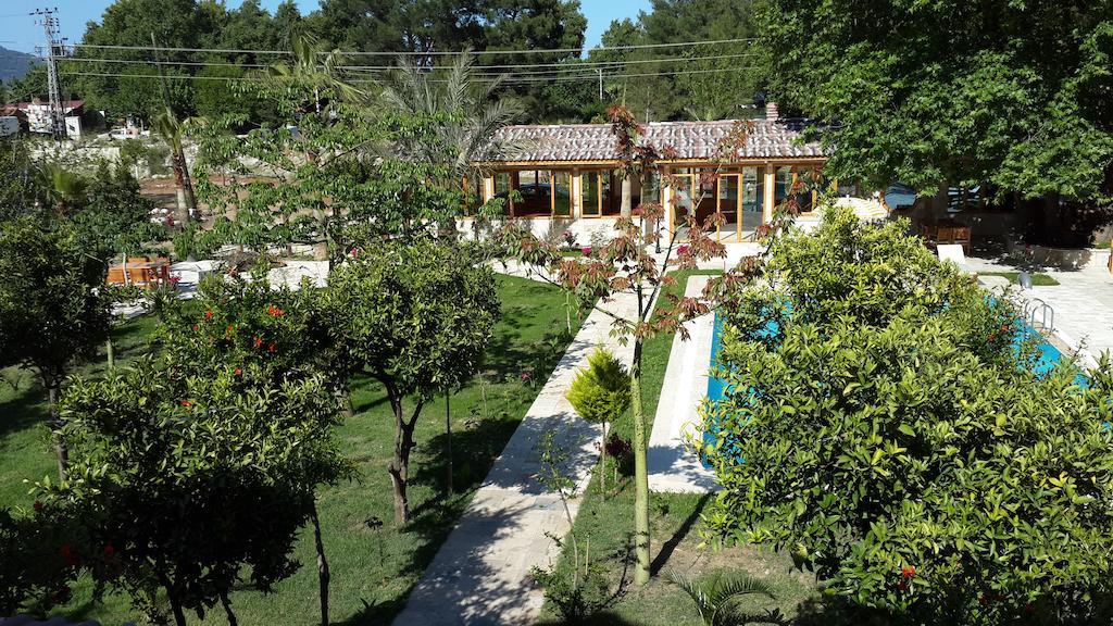 Sedir Palas Hotel Çıralı 외부 사진